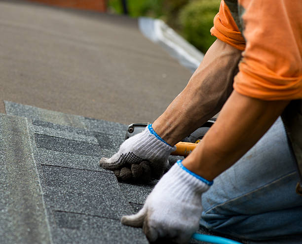Roof Gutter Cleaning in Gaston, SC